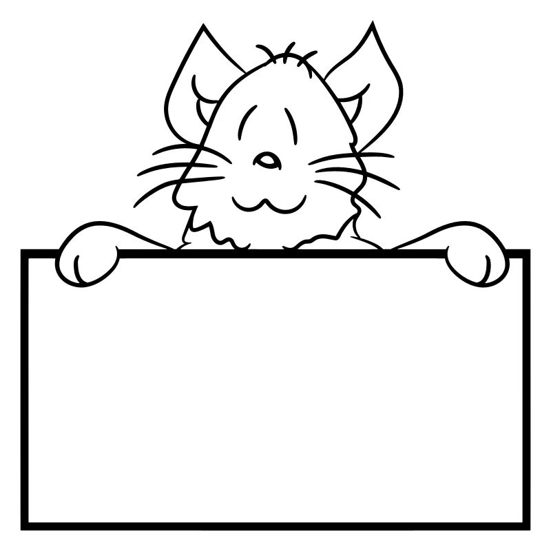 Jolie petite chatte jetant un coup d’œil caché derrière le mur