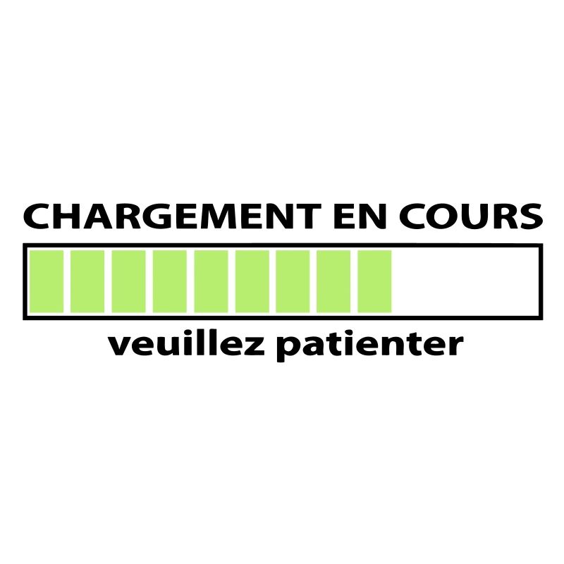 Chargement en cours, loading pour geek.