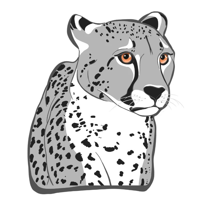 Guépard