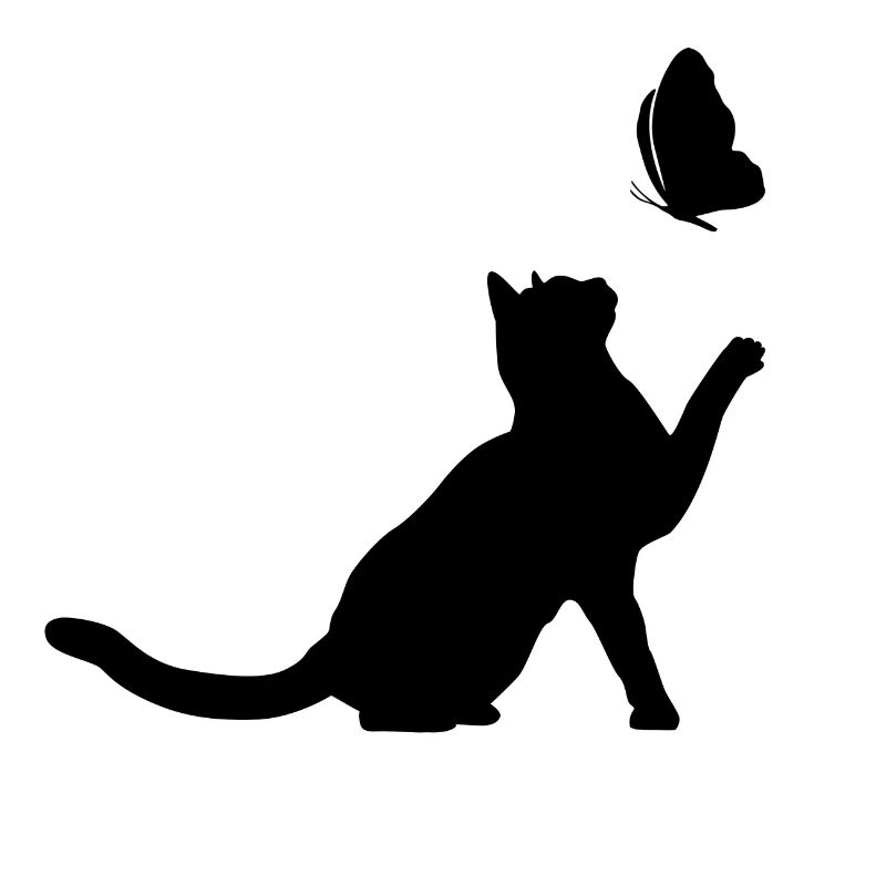 Papillon & Chat 4