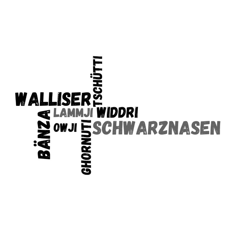 Insider Walliser Schwarznasen