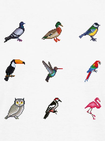 Vögel