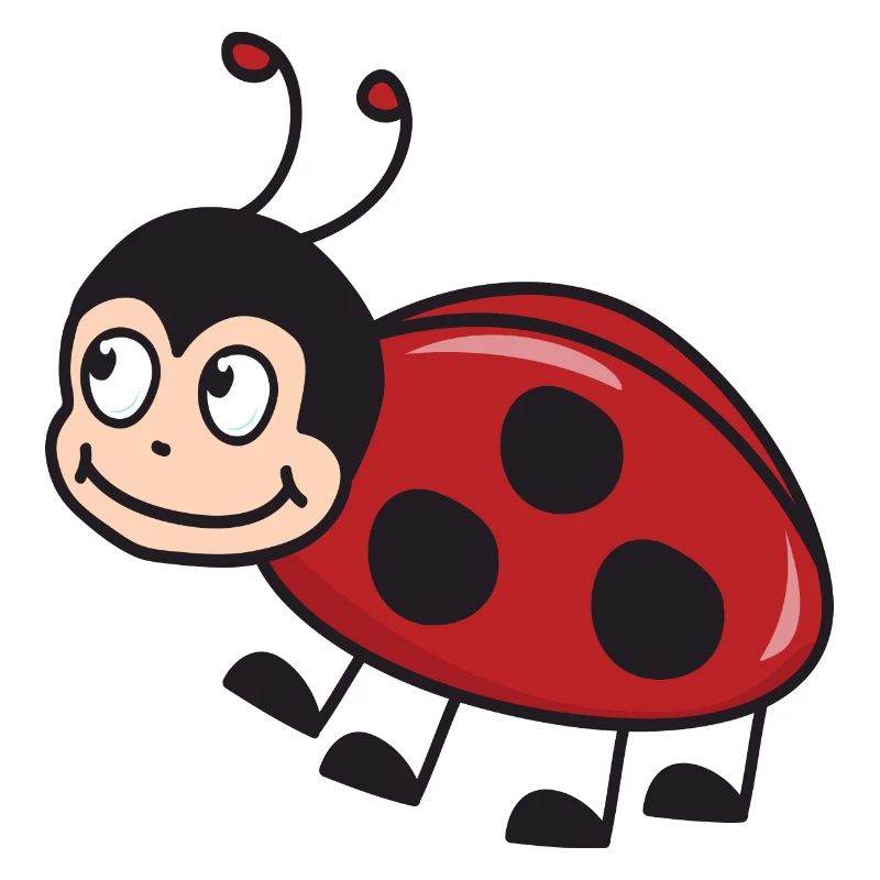 Ladybug luck