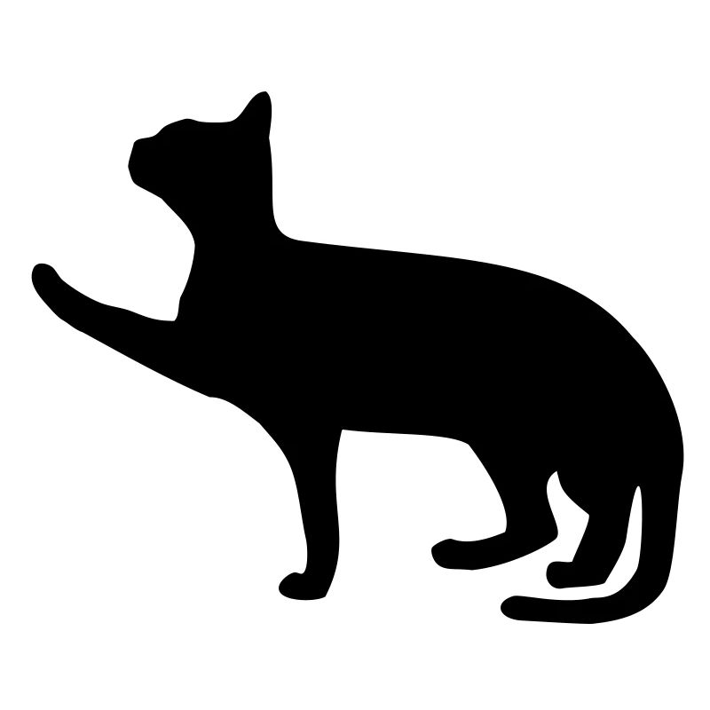 Katze