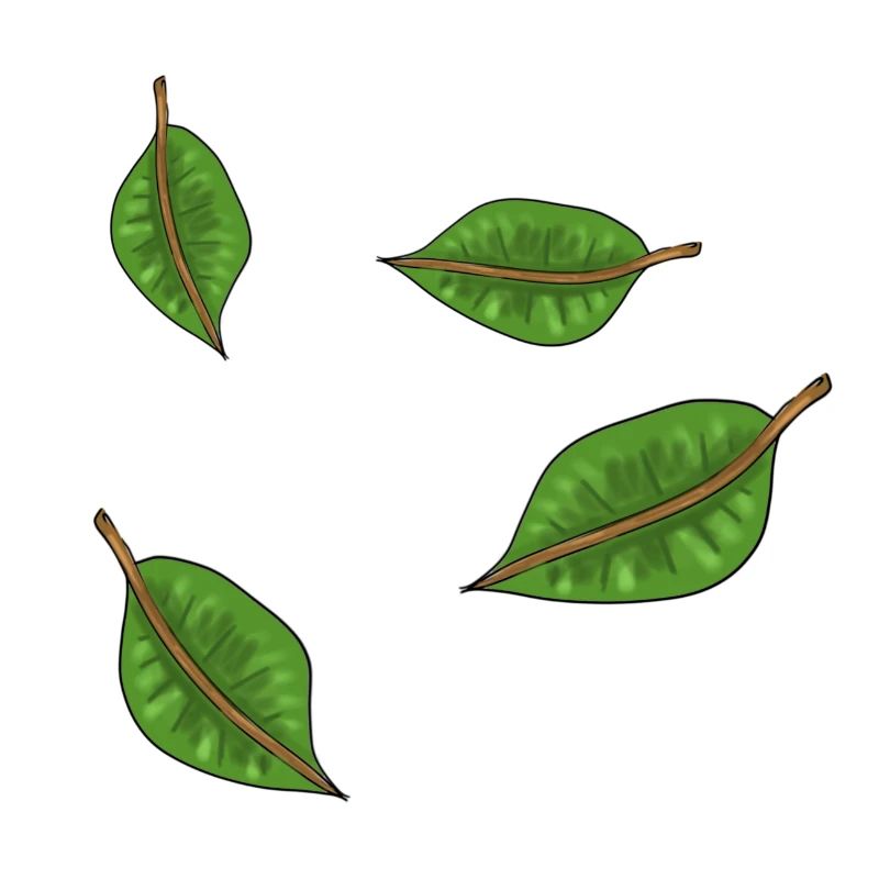 green leaves symbol pattern