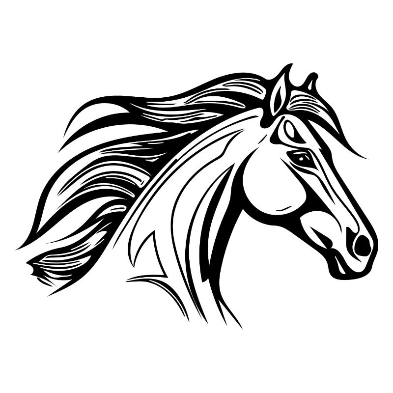 Cheval robuste à crinière étalon équestre