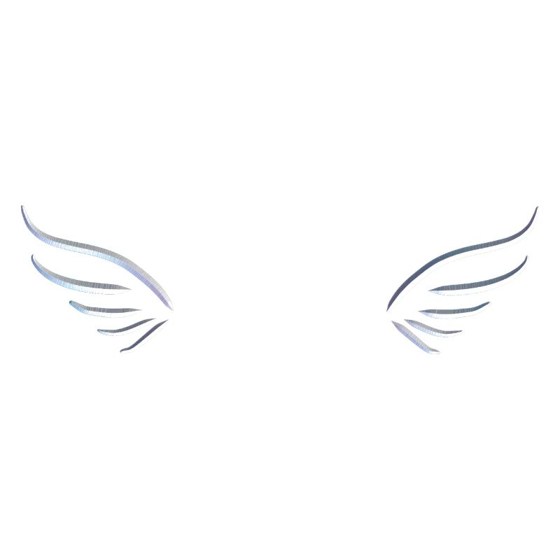 aile argentée deux mouche symbole protéger