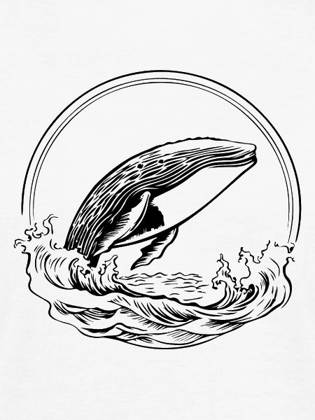 Wal Meer Fische
