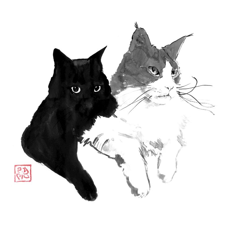 2 Katzen