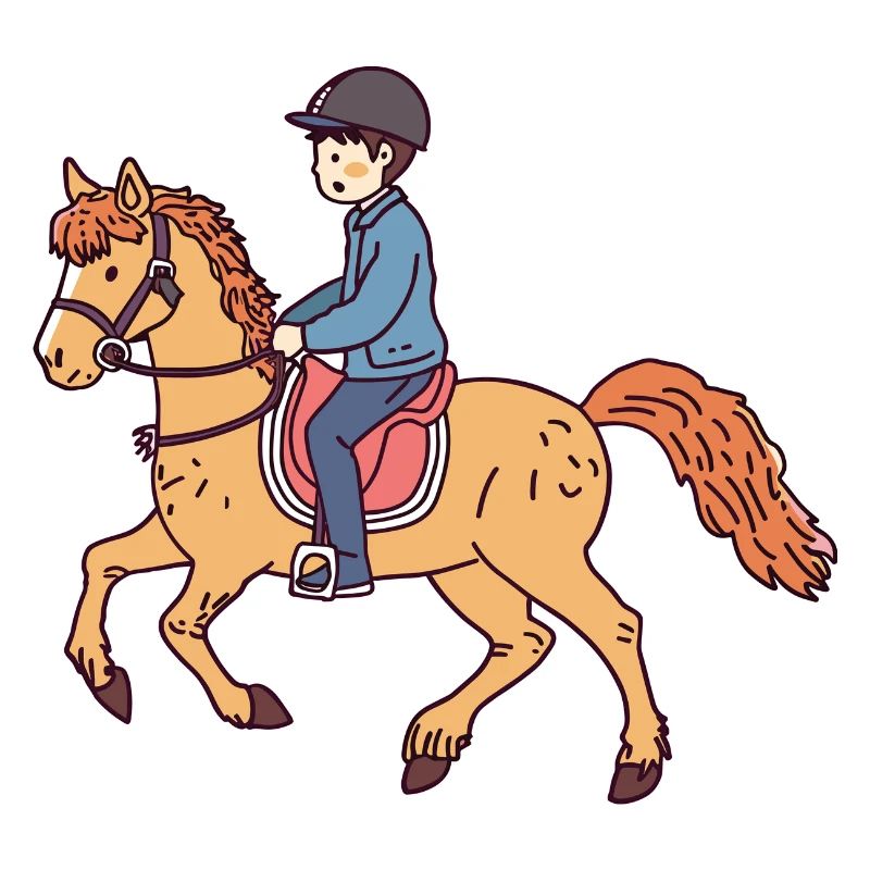 Riding Saddle