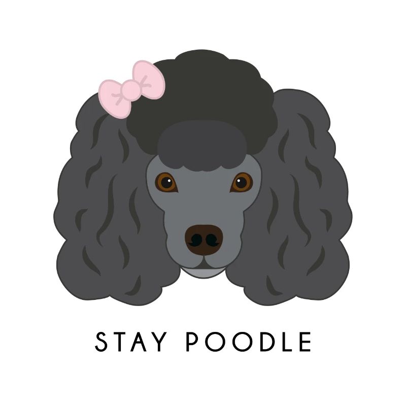 Poodle Black