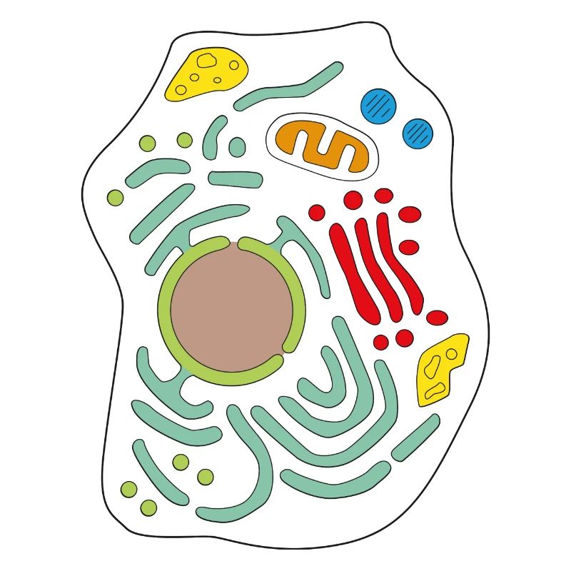 Cell