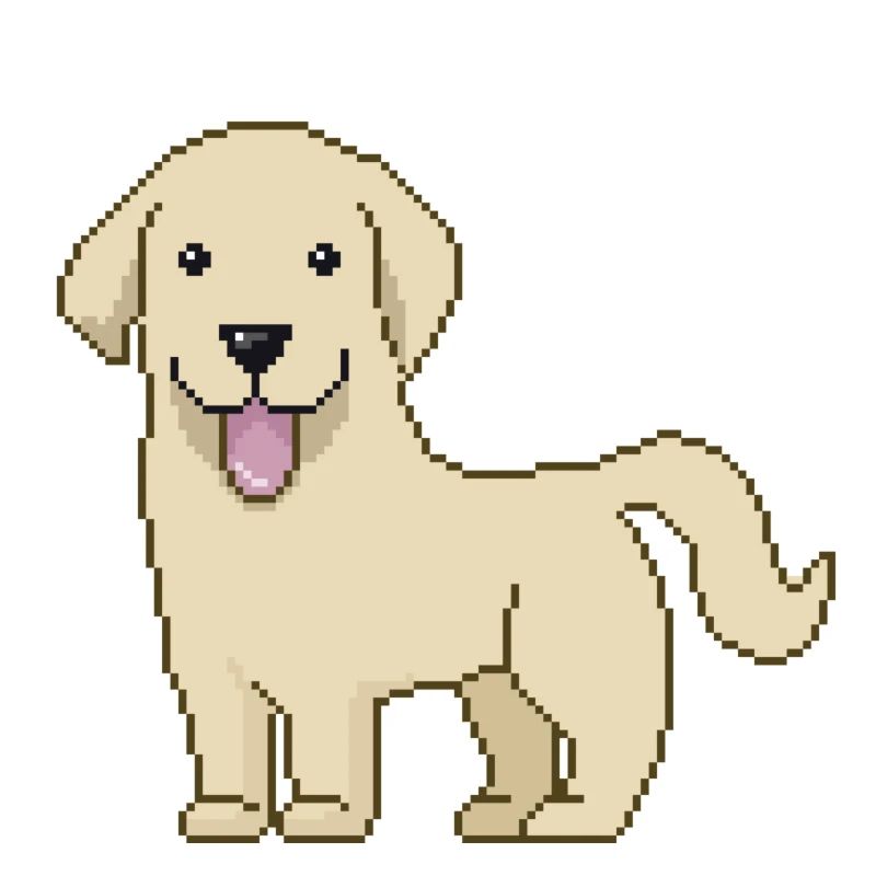 Labrador