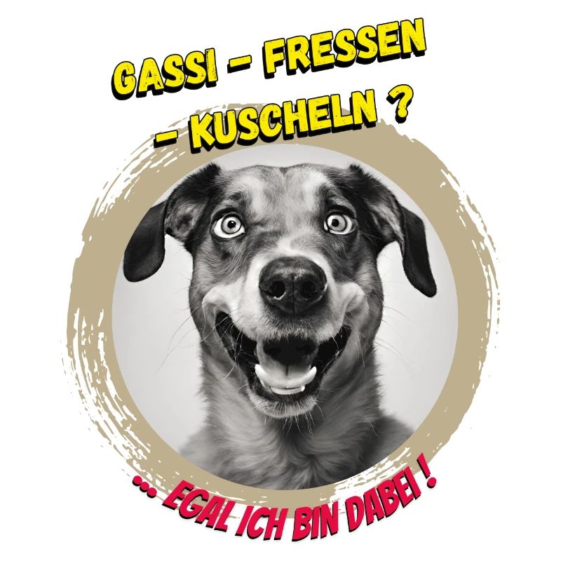 Gassi !