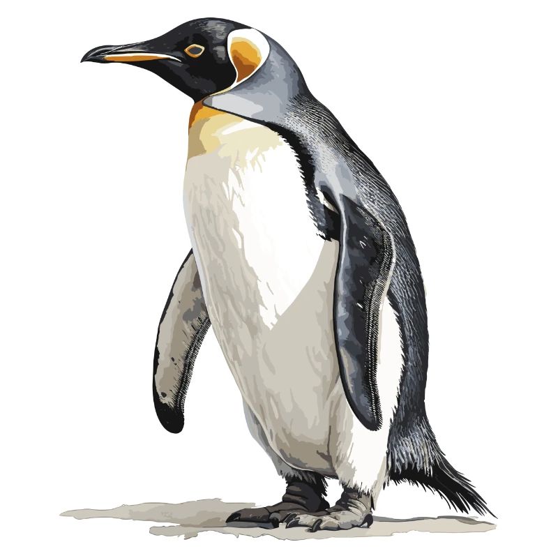 der König der Pinguine