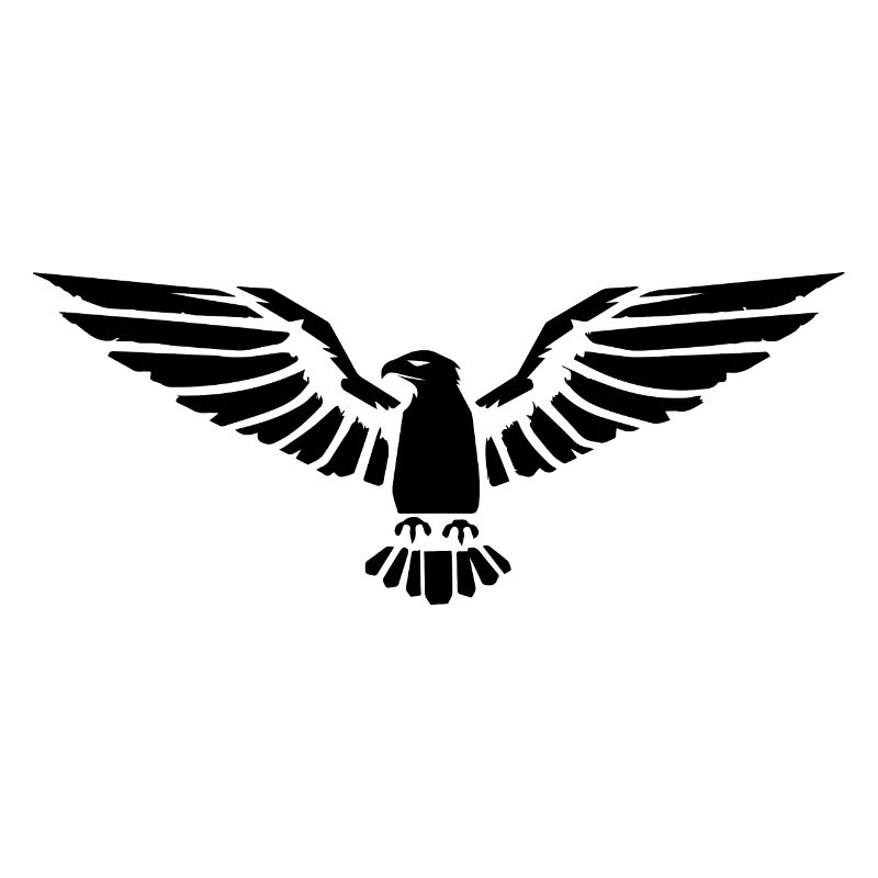 Eagle Eagle Head