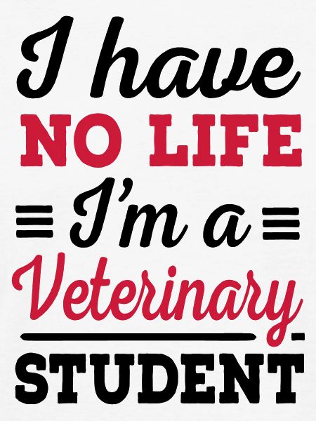 veterinary student