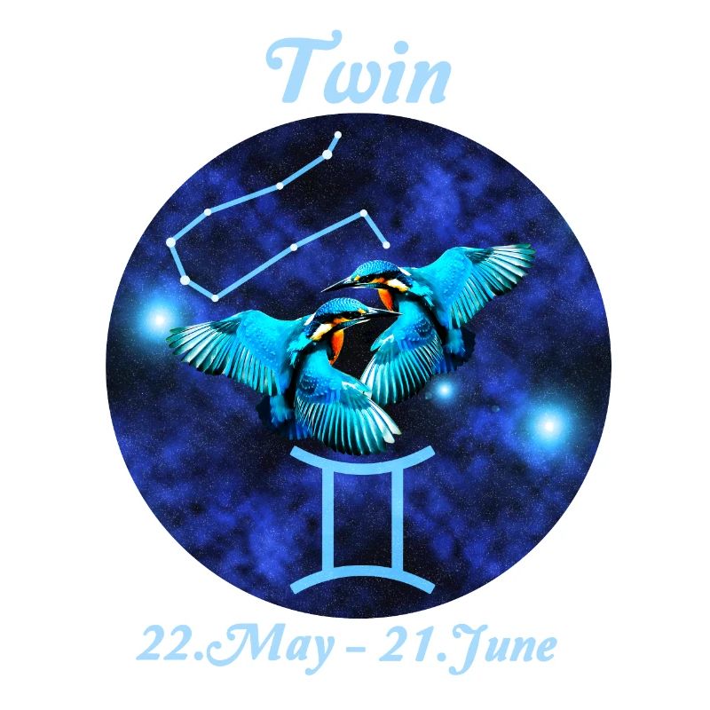 Sternzeichen Zwilling, Eisvogel, Sternbild