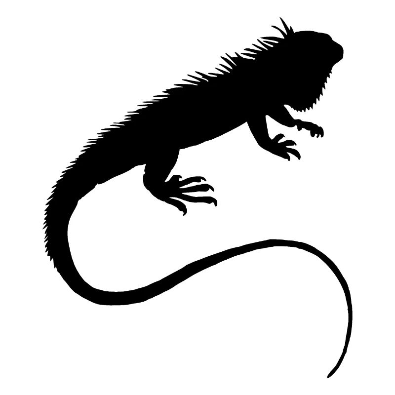iguana