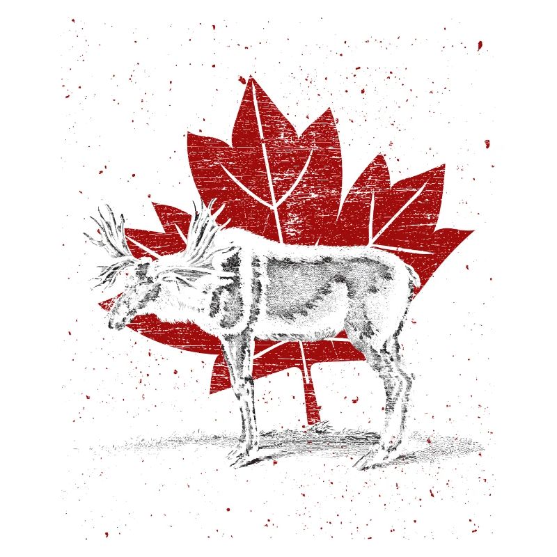 Canada moose