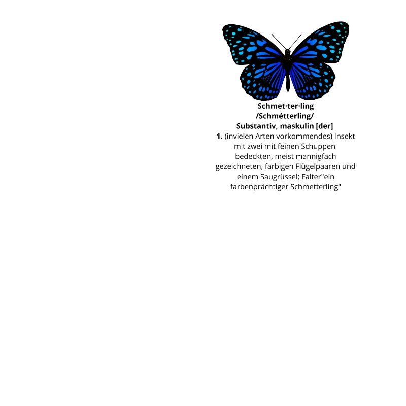Définition de l'effet papillon