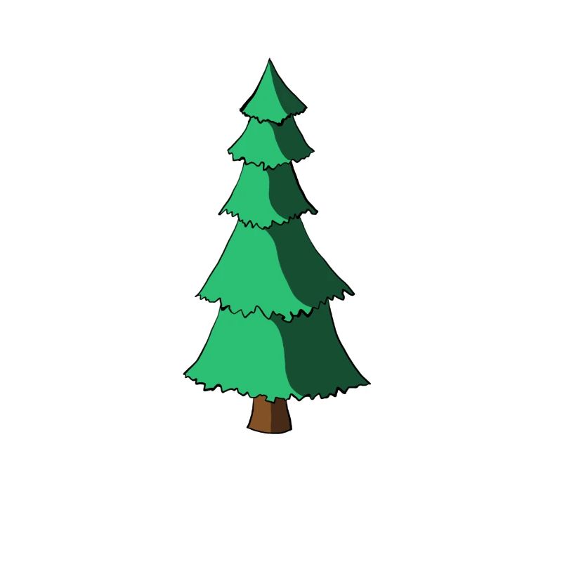 Pine tree. pine. Christmas Tree. Kiefer