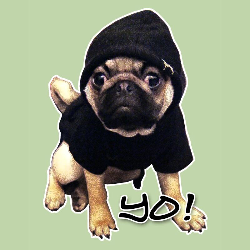 yo_mops_3