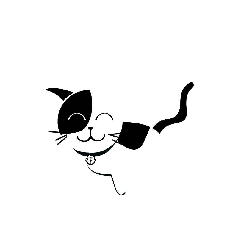 chat noir et blanc