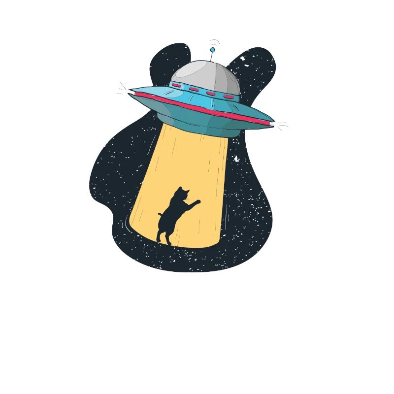 Chat vaisseau spatial espace ciel étranger