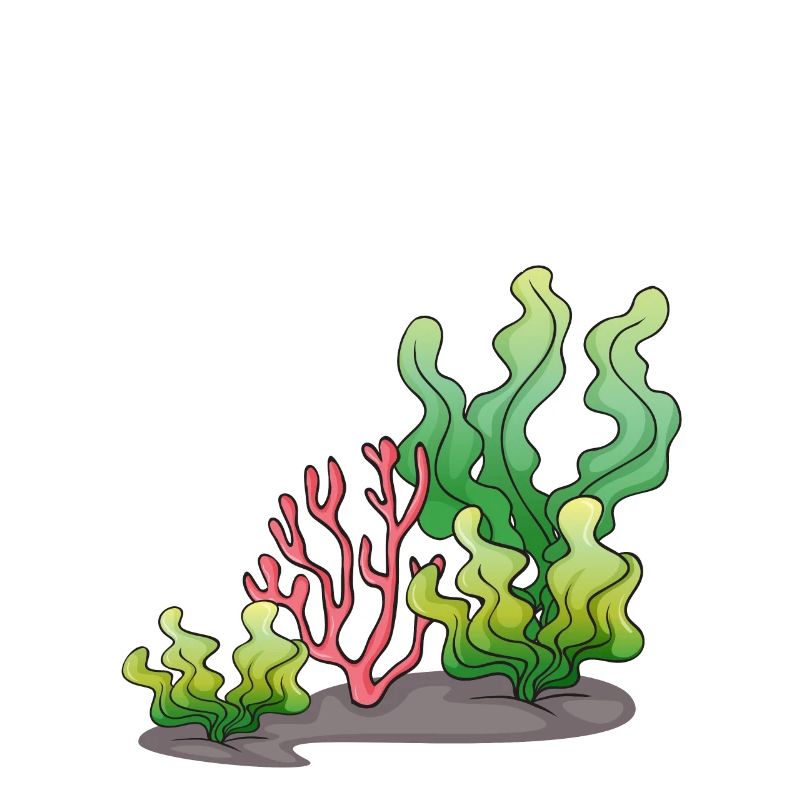 Algues, algues, algues bleu-vert, herbiers, varech de mer