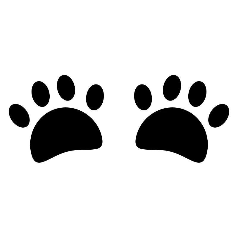 Cat paws