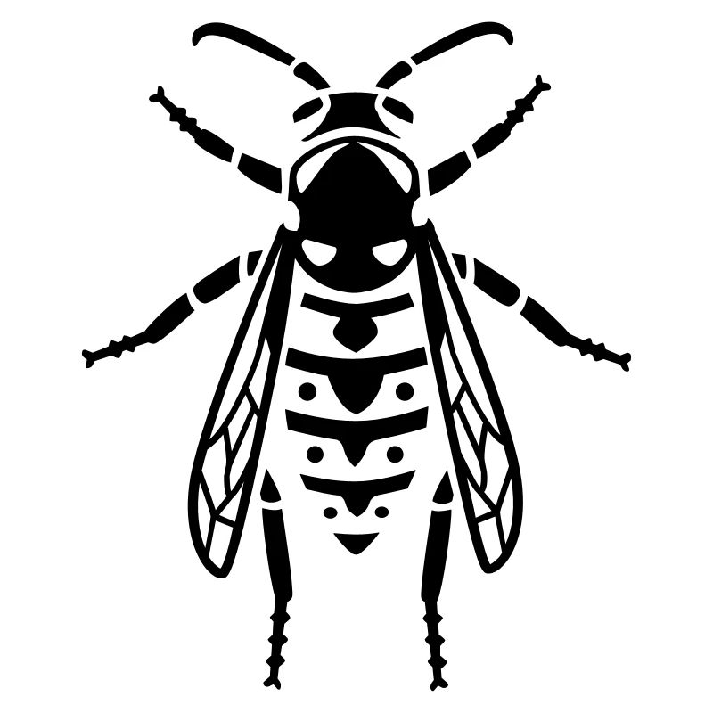 Insectos - Avispa