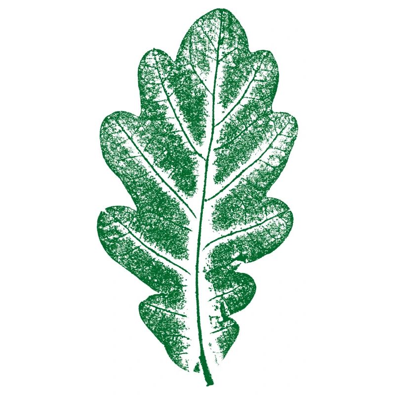Vert Feuille de Chêne - Monocolore - Feuille/Chêne/ Arbre