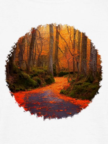 Herbstwald