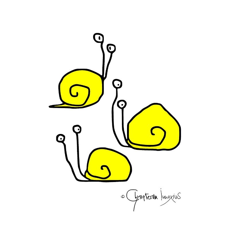 Escargotsmeeting - Cochleae Conventus