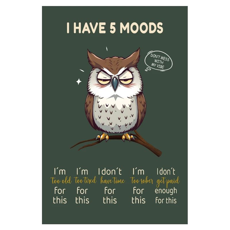Grumpy Owl – I Have 5 Moods Funny Design