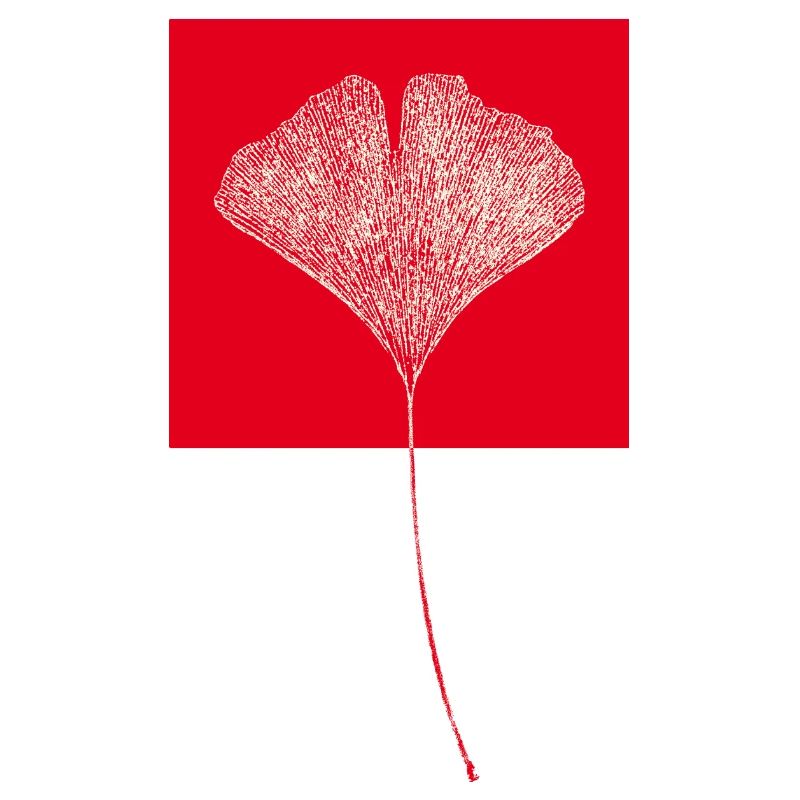 Gingko leaf in square