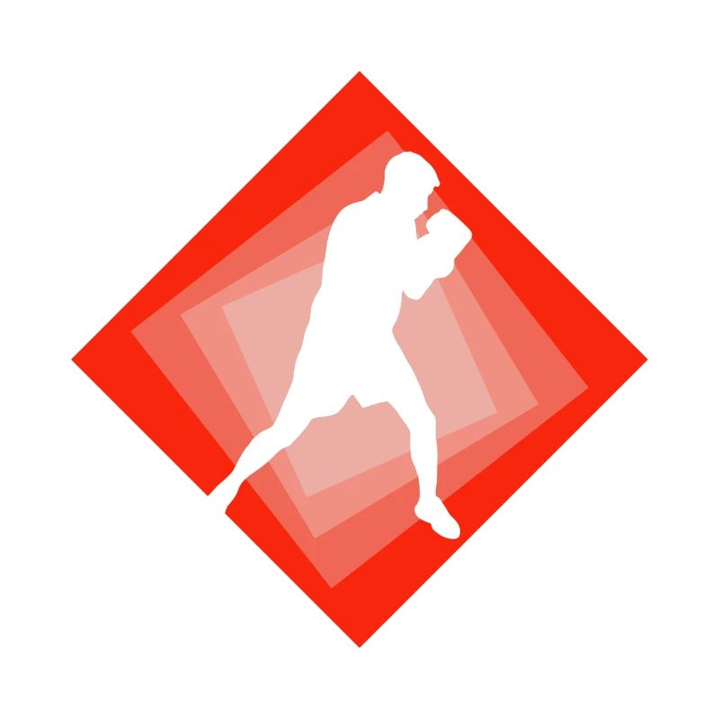 Boxer Boxhandschuhe Gloves