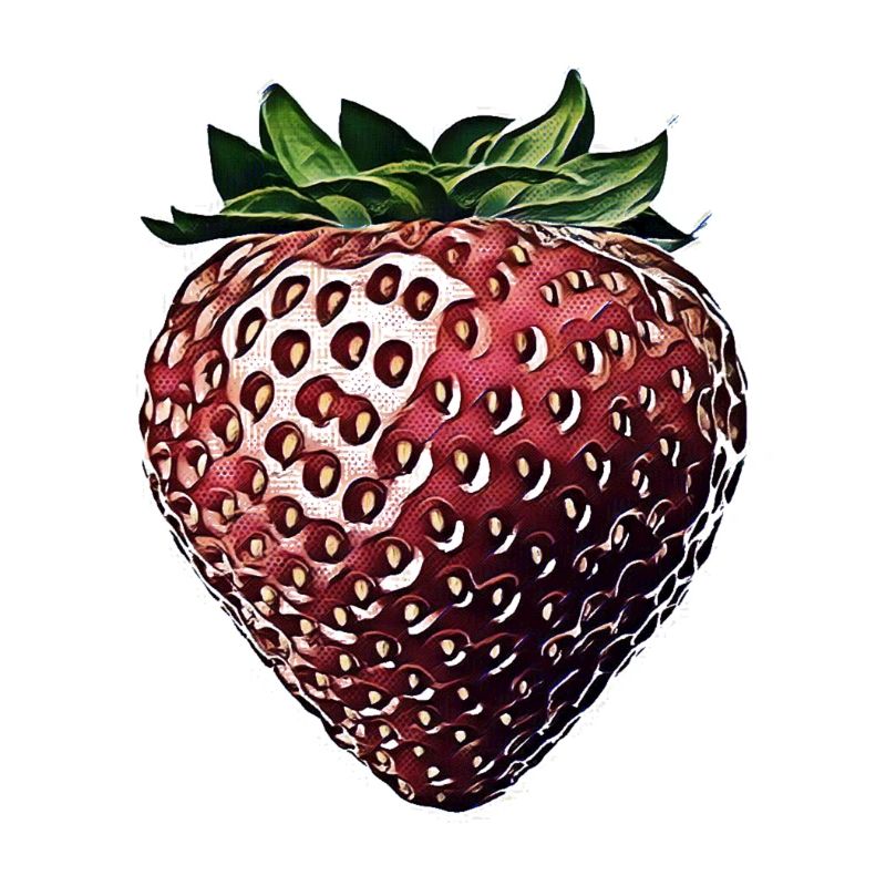 Erdbeere