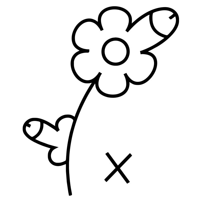 Fleur du pénis