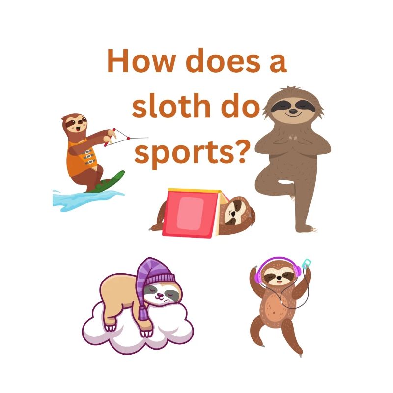 How does a sloth do sport?