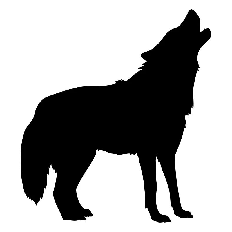 wolf animal