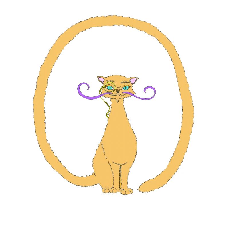 Salvador, le Chat avec une longue queue