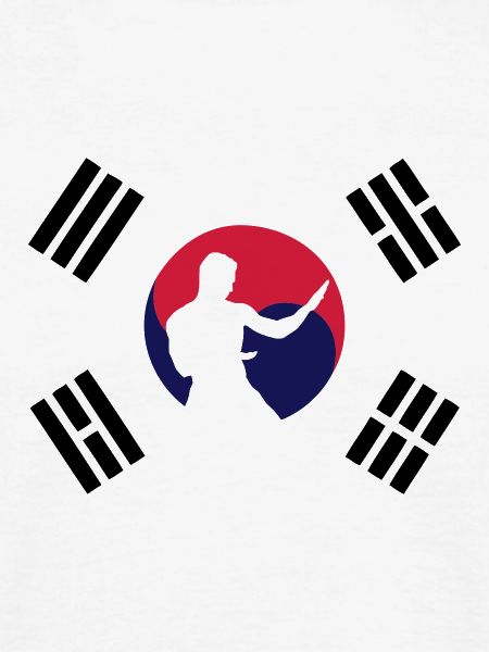 taekwondo