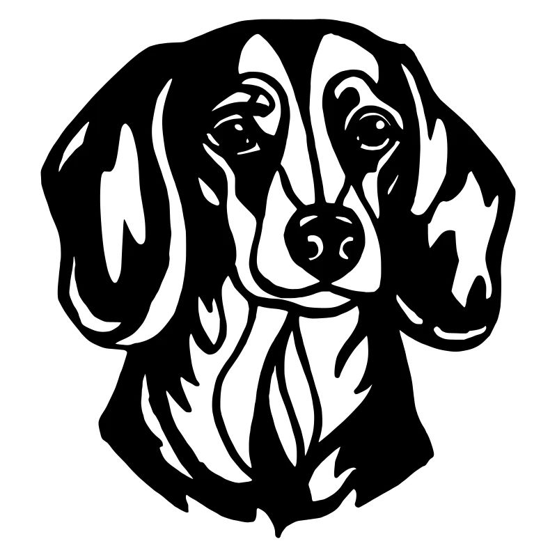 Teckel Tête De Chien Mignon