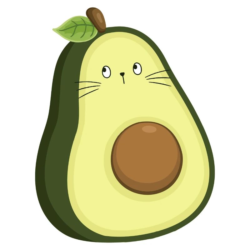 Chat avocat