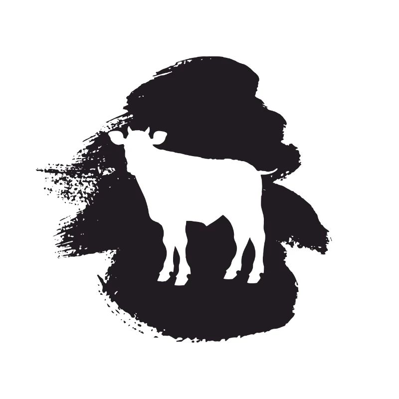 Beef Milk Cows