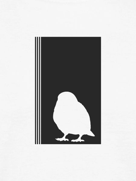 Budgerigar, Wings, Bird