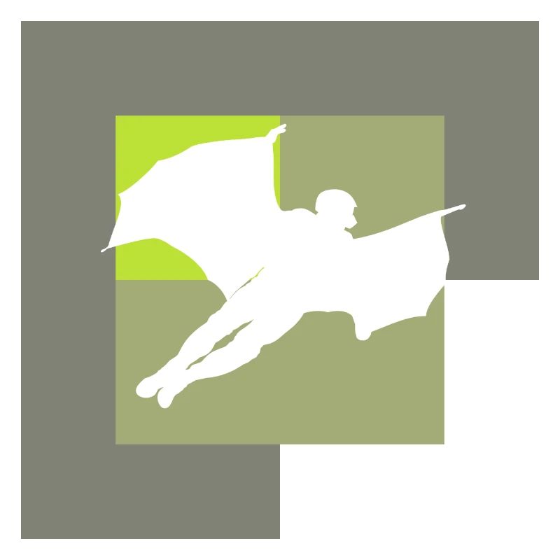 Wingsuit olycka flygning