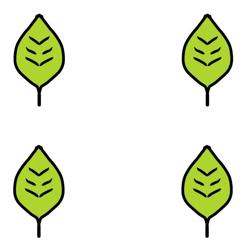 four leaves leaf green nature pattern